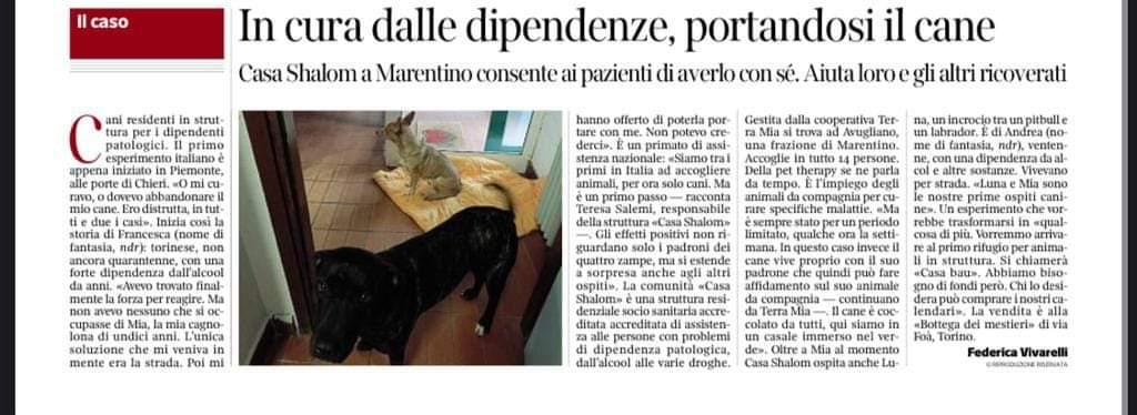 corriere Torino – In cura dalle dipendenze, portandosi il cane
